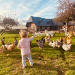 enfant, ferme, poule, pédagogique, visite
