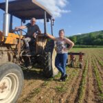 Tracteur, éleveur, éleveuse, semis, champ