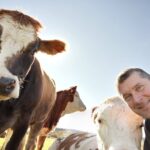 Eleveur, gros plan, vache, vaches, pré