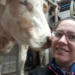Eleveuse, salle de traite, vache, bien être animal