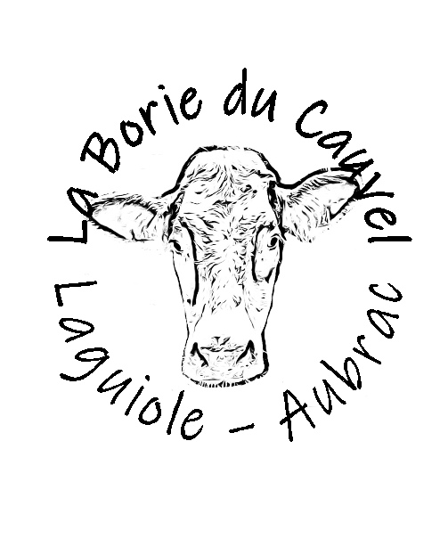 LOGO BORIE DU CAUVEL
